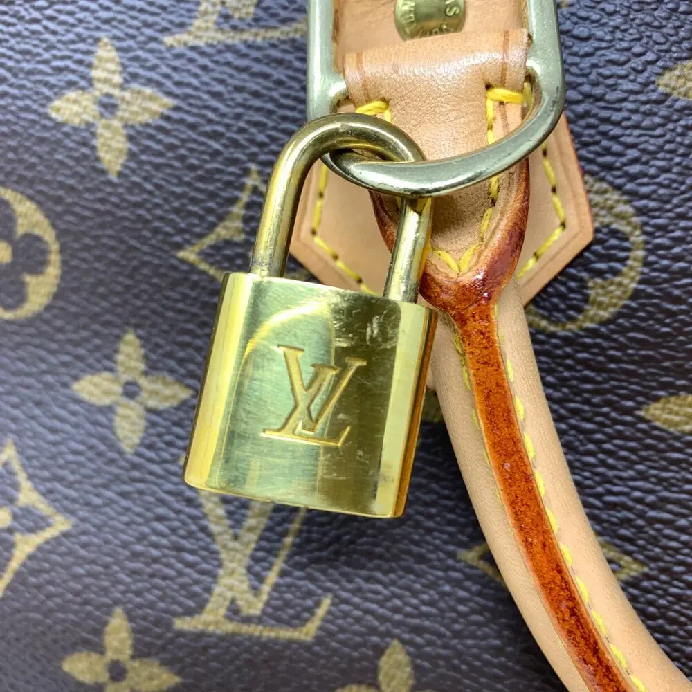 Louis Vuitton vintage louis